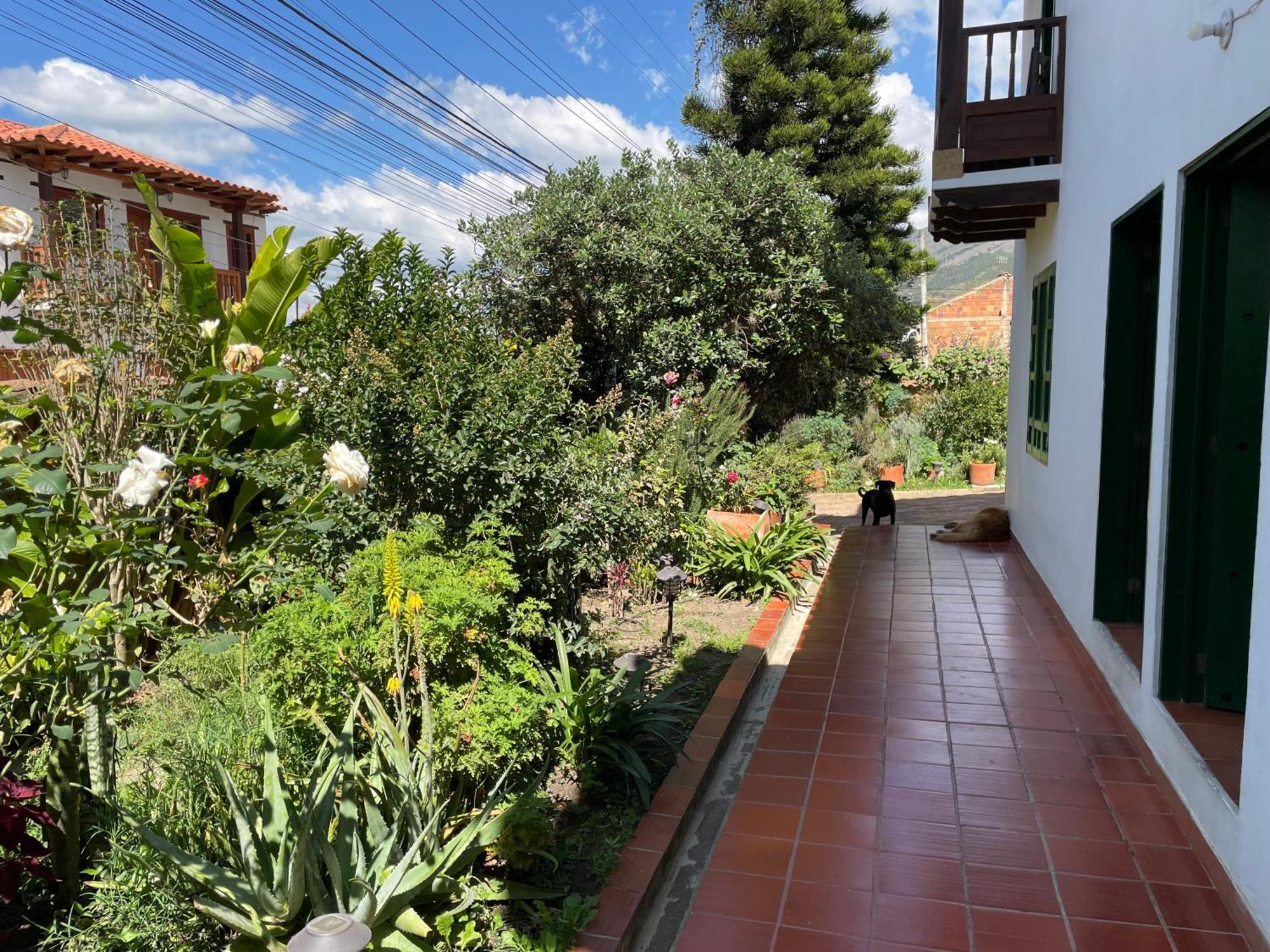 Hostal El Pino Villa de Leyva Ngoại thất bức ảnh