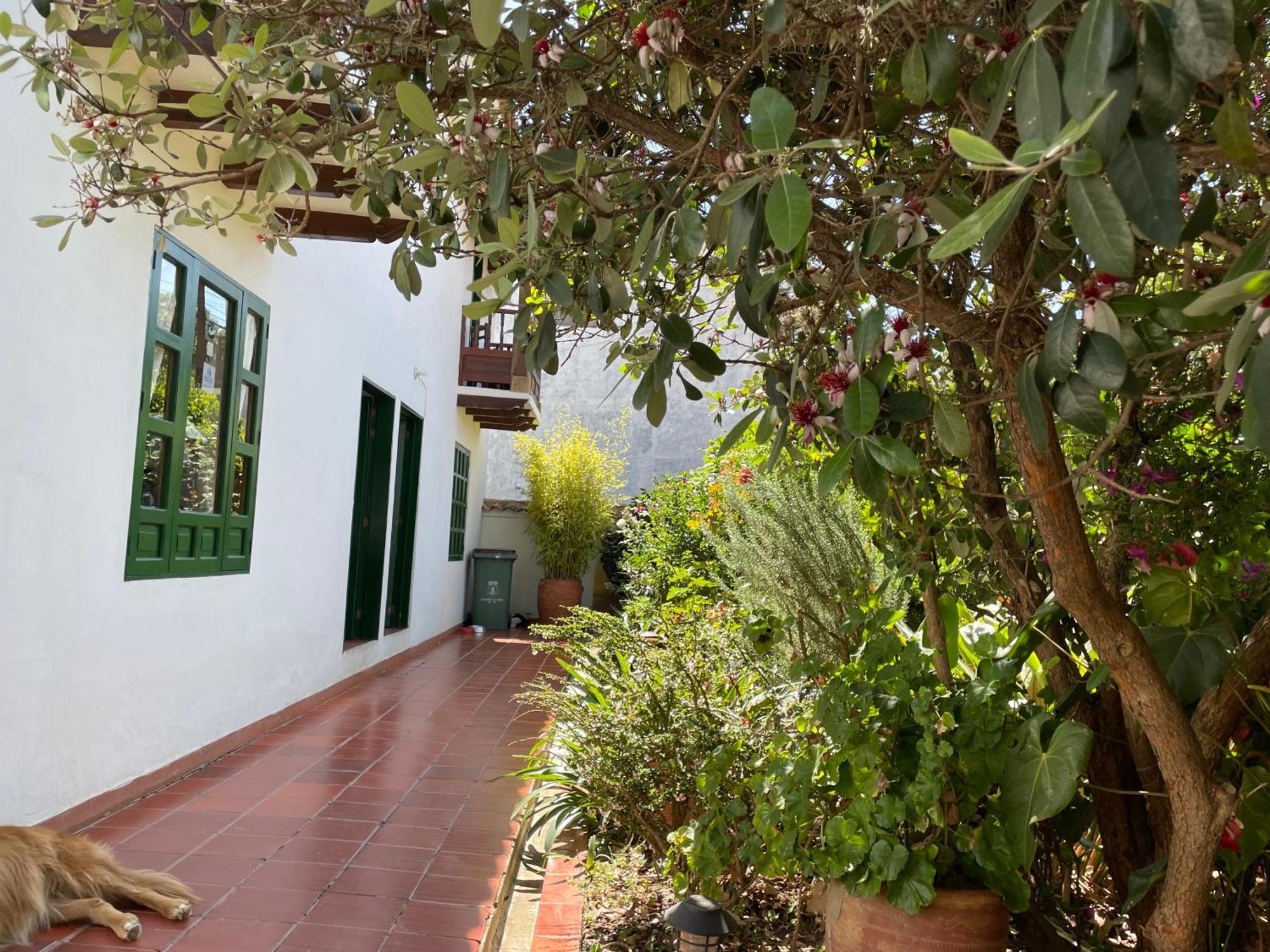 Hostal El Pino Villa de Leyva Ngoại thất bức ảnh